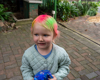 Blue Bird Primary Crazy Hair Day Blue Bird Primary Crazy Hair Day